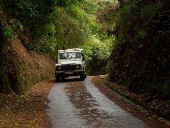 Jeep Tour  Funchal, Camacha,Morena ,Santo da Serra , Machico