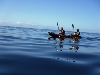 Kayak Tours in Madeira Island