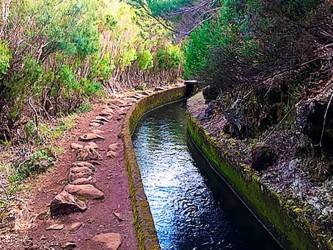 Lakes of Madeira Levada Walk