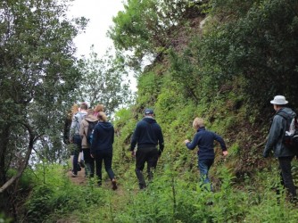 Larano Hiking Trail in Madeira