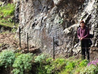 Larano Hiking Trail in Madeira