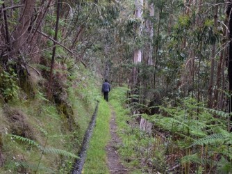 Levada da Negra Walking Trail in Madeira