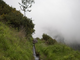 Levada da Negra Walking Trail in Madeira