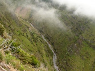 Levada da Negra Walking Trail in Madeira