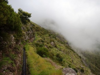 Levada da Negra Walking Trail in Madeira