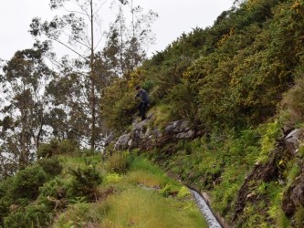 Levada da Negra Walking Trail in Madeira