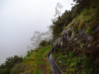 Levada da Negra Walking Trail in Madeira