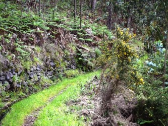 Levada da Negra Walking Trail in Madeira