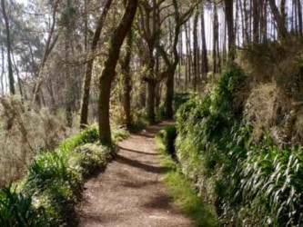 Levada da Serra do Faial - Fajã dos Rolos Mountain Bike Tour