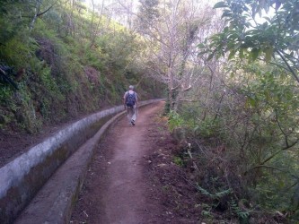 Levada do Norte Walk in Madeira