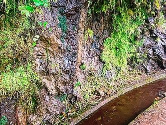 Levada do Rei Ribeiro Bonito Levada Walk