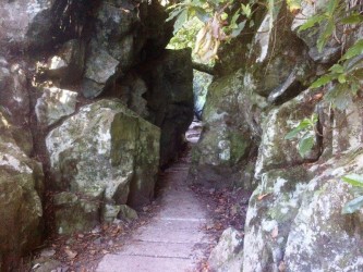 Levada Walk from Ribeiro Frio to Portela in Madeira