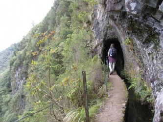 Ribeiro Frio Portela Levada