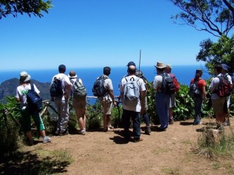 Levada Walk from Ribeiro Frio to Portela in Madeira