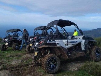 Madeira Buggy Tour