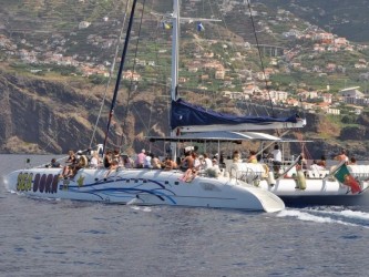 Madeira Dolphins & Whales Catamaran Trips