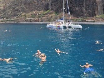 Madeira Dolphins & Whales Catamaran Trips