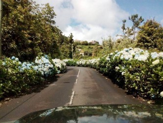 madeira jeep excursion to north