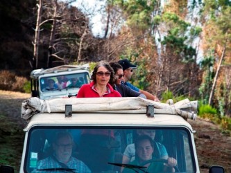 Madeira Jeep Tour from Funchal The Amazing West