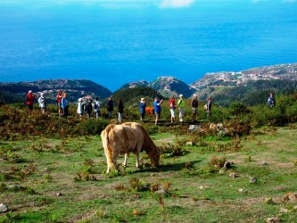 Madeira Jeep Tour from Funchal The Amazing West