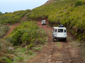 Madeira Jeep Tour from Funchal The Amazing West