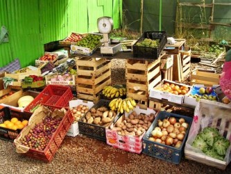 Madeira Market Jeep Tour