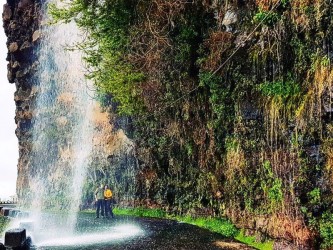 Madeira Natural Pools West Tour on a Open Roof Top Mini Van