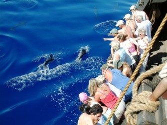 Madeira Pirate Ship Boat Trips Santa Maria de Colombo