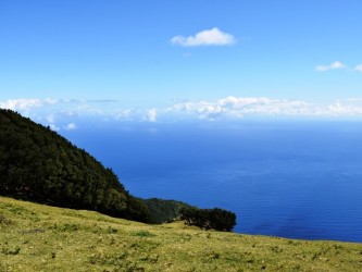 Madeira Plateau Guided Walks