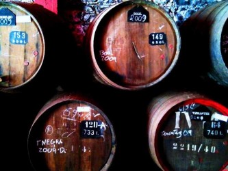 Madeira Wine Walk Tour