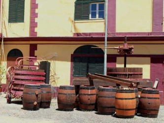 Madeira Wine Walk Tour