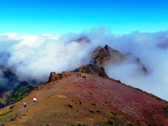 Majestic Mountains Jeep Tour Half Day in Madeira