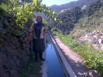 Maroços Levada Walk in Machico, Madeira Island