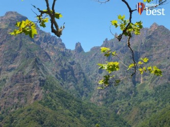Miradouro Balcoes Viewpoint in Ribeiro Frio, Madeira Island