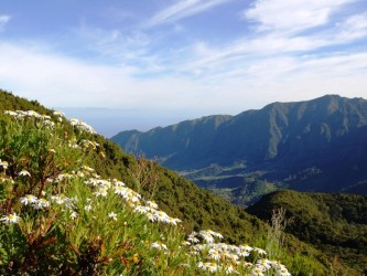 Miradouro da Encumeada Viewpoint, Madeira