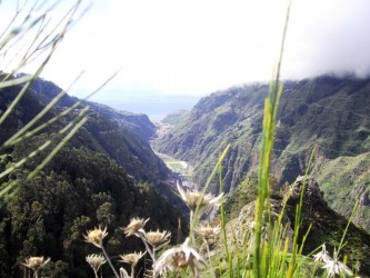 Miradouro do Espigao Viewpoint, Sao Paulo, Ribeira Brava, Madeira