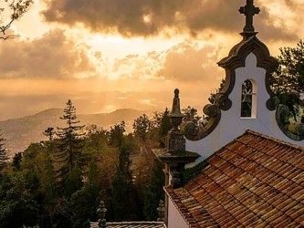 Monte & Botanical Gardens Tour in Madeira