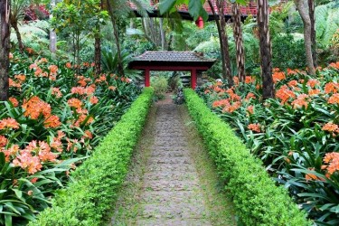 Monte Palace Tropical Garden in Madeira Island