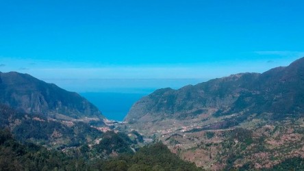 Skywalk & Professional Wine Experience in Madeira