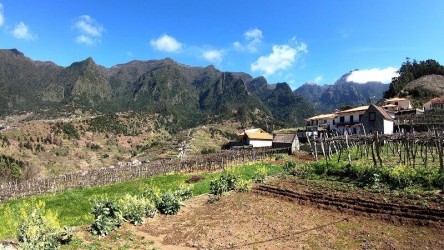 Skywalk & Professional Wine Experience in Madeira