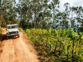 Nun’s Valley & Sea Cliff on 4 wheels jeep Tour in Madeira Island