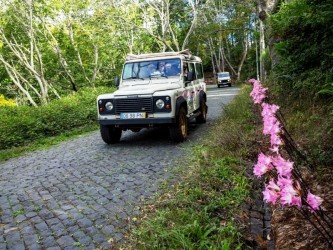 Nun’s Valley & Sea Cliff on 4 wheels jeep Tour in Madeira Island