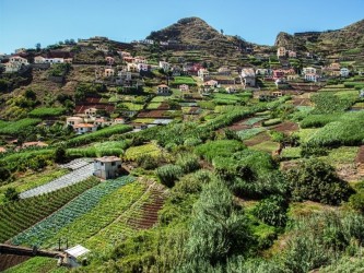 Nun’s Valley & Sea Cliff on 4 wheels jeep Tour in Madeira Island