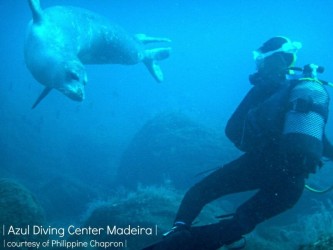 Open Water Diving Course Madeira