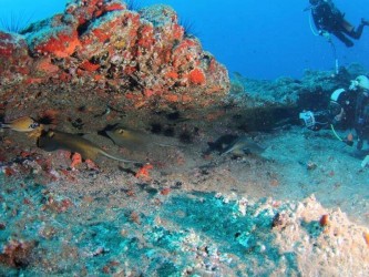 Open Water Diving Course Madeira