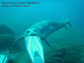 Open Water Diving Course Madeira