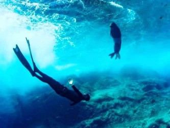 Open Water Diving Course Madeira