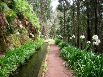 Parque de Merendas dos Lamaceiros Picnic Park, Porto Moniz, Madeira