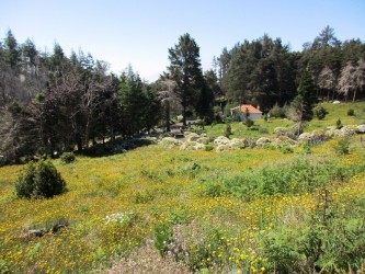 Parque Ecologico do Funchal Ecological Park, Madeira