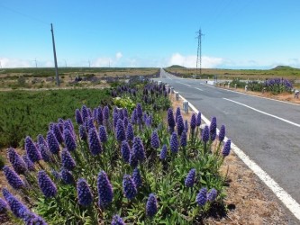 Northern Wonders Jeep Tour Full Day in Madeira